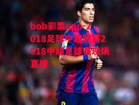 bob彩票app-2018足球中超联赛2018中超足球赛现场直播