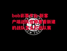 bob彩票平台-新客户端战队在哪里看新建的战队怎么打战队赛