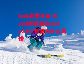 bob彩票平台-Xiao8的新战队dota2小8老婆为什么离婚