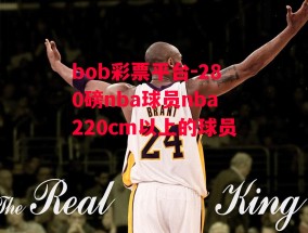 bob彩票平台-280磅nba球员nba220cm以上的球员