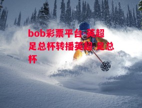 bob彩票平台-英超足总杯转播英超 足总杯